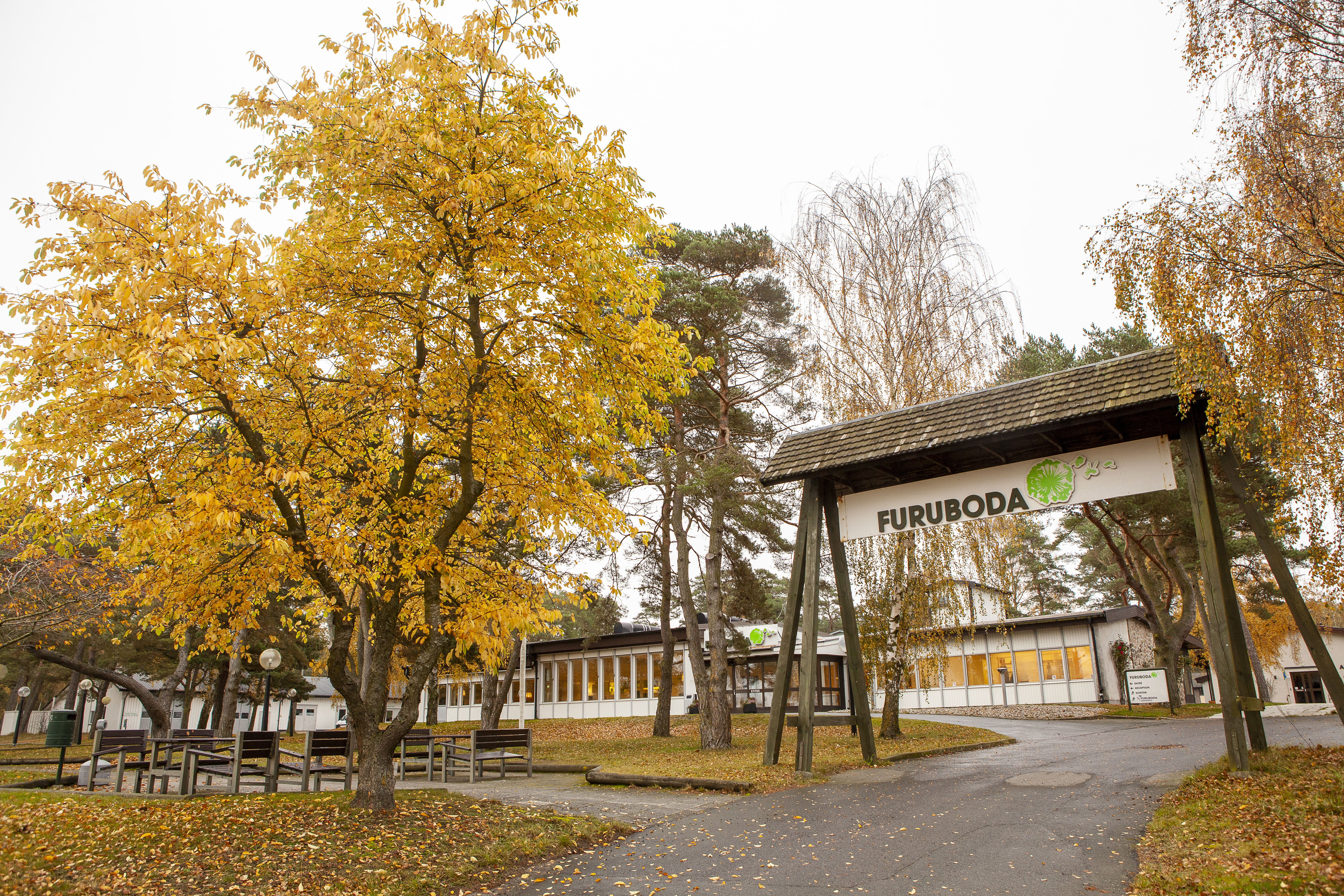 Höstfärgade träd och portal med Furubodas logotyp