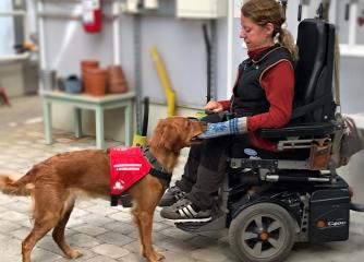 En hund med väst interagerar med kvinna i permobil