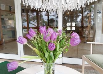 En bukett lila tulpaner vid entrédörrar