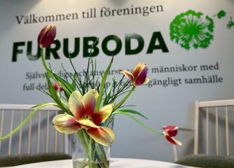 Tulpaner i vas framför texten Furuboda 