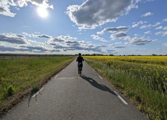 cyklist på landsväg i Skåne en solig sommardag